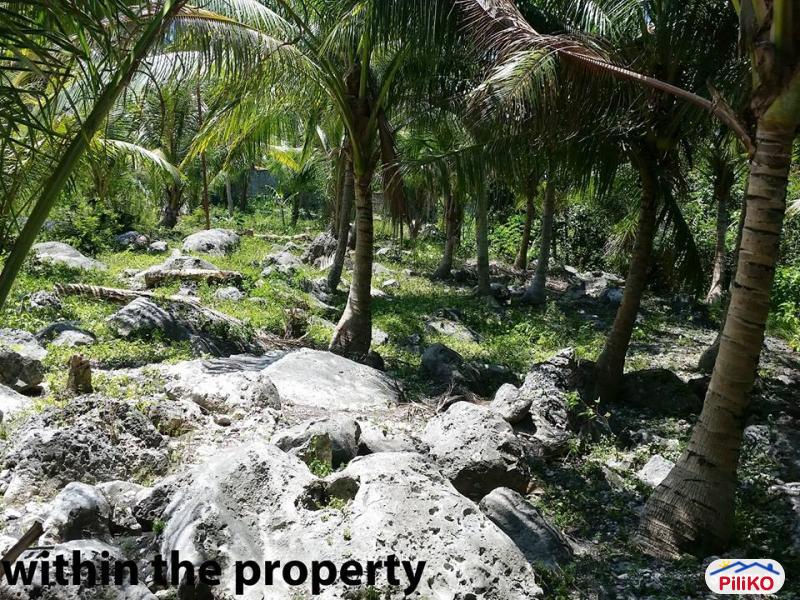 Residential Lot for sale in Barili 454202 Photo 3