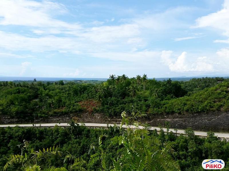 House and Lot for sale in Barili - image 4