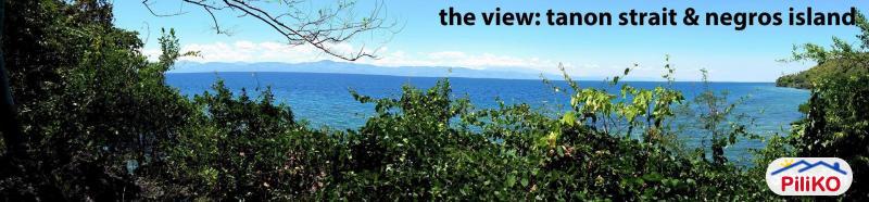 Residential Lot for sale in Barili in Philippines