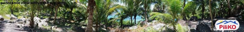 Picture of Residential Lot for sale in Barili in Cebu