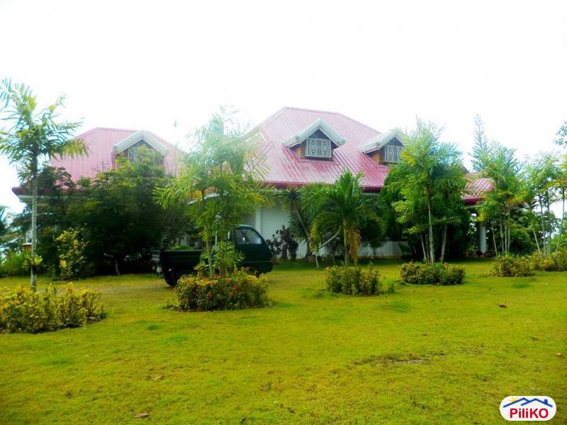 Picture of House and Lot for sale in Barili in Cebu