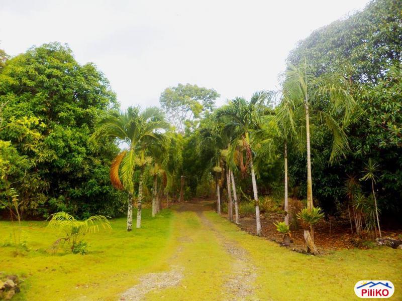 Picture of House and Lot for sale in Barili in Philippines