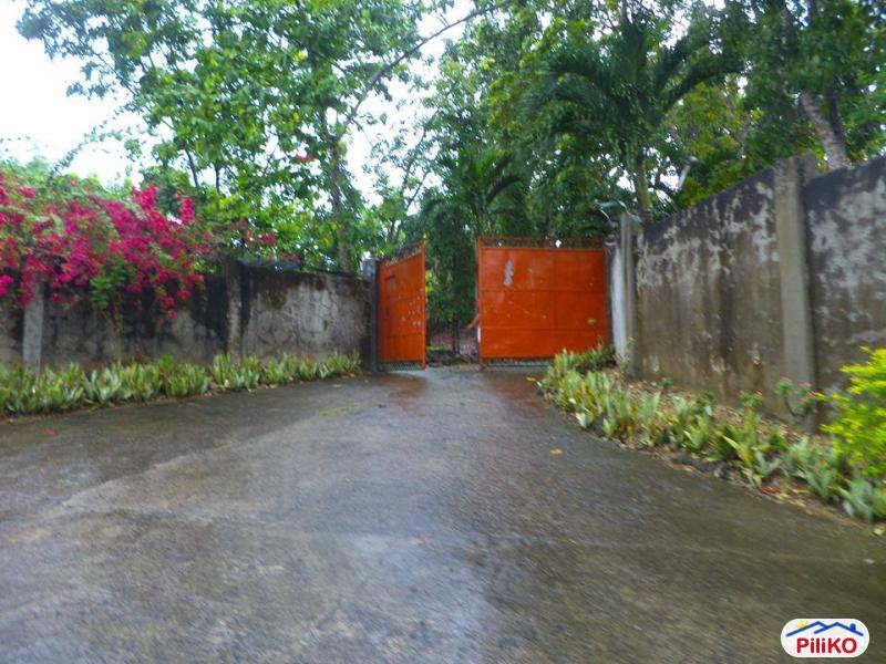 House and Lot for sale in Barili in Philippines - image