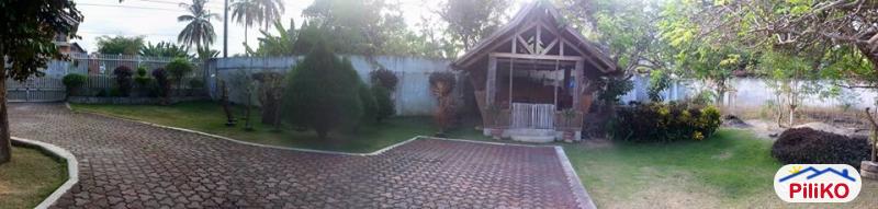 4 bedroom House and Lot for sale in Panglao - image 12