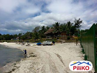 Picture of Other commercial for sale in Panglao