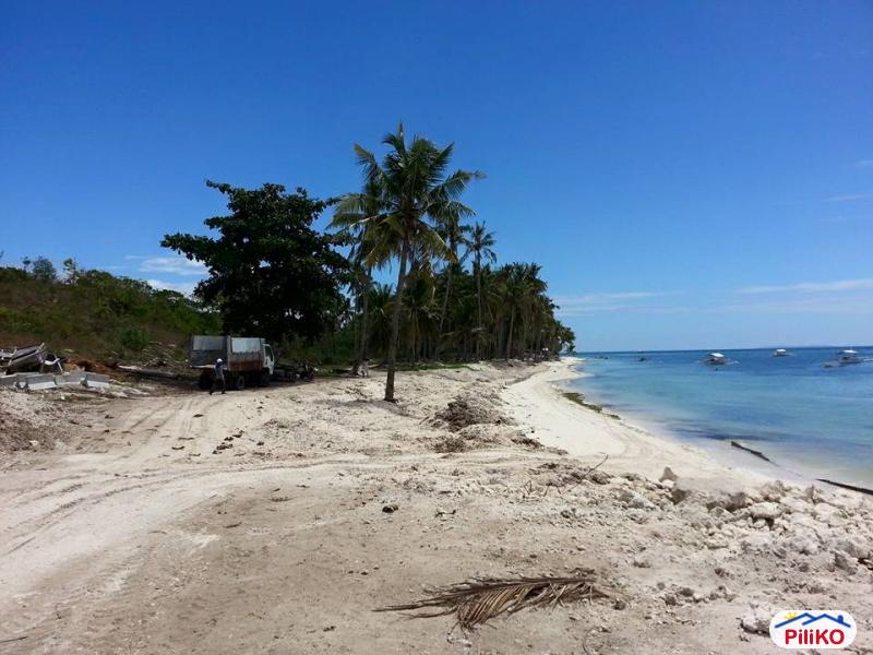 Other lots for sale in Panglao