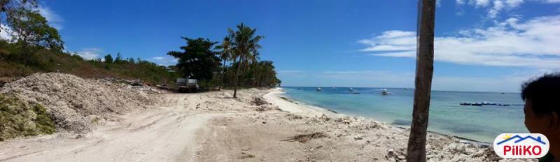 Other lots for sale in Panglao in Bohol