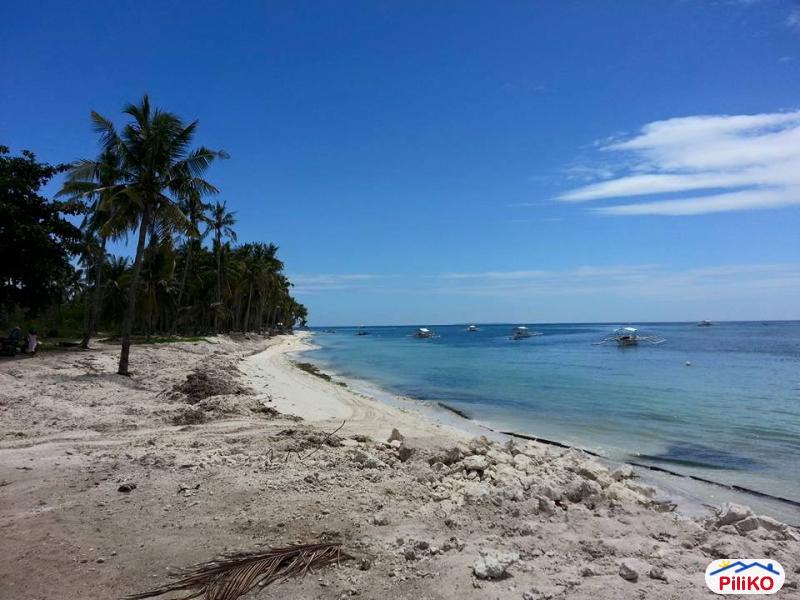 Other lots for sale in Panglao in Philippines