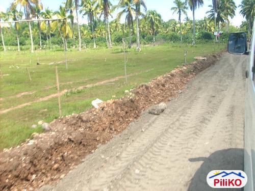 Picture of Residential Lot for sale in Island Garden City of Samal