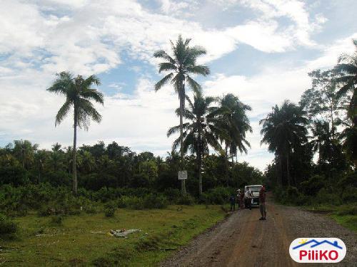 Picture of Residential Lot for sale in Island Garden City of Samal