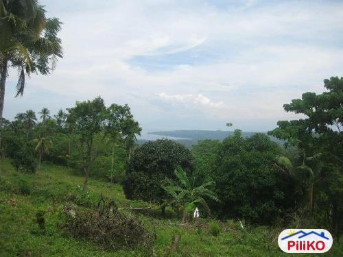 Picture of Residential Lot for sale in Island Garden City of Samal