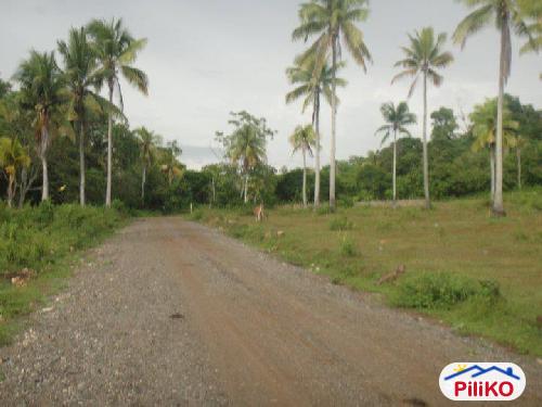Pictures of Residential Lot for sale in Island Garden City of Samal