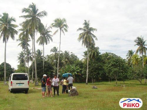 Pictures of Residential Lot for sale in Island Garden City of Samal