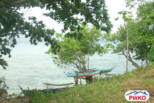 Picture of Residential Lot for sale in Island Garden City of Samal