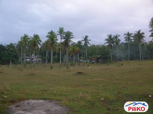 Picture of Residential Lot for sale in Island Garden City of Samal