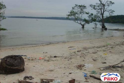 Pictures of Commercial Lot for sale in Island Garden City of Samal