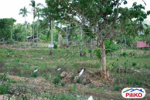 Residential Lot for sale in Island Garden City of Samal - image 2