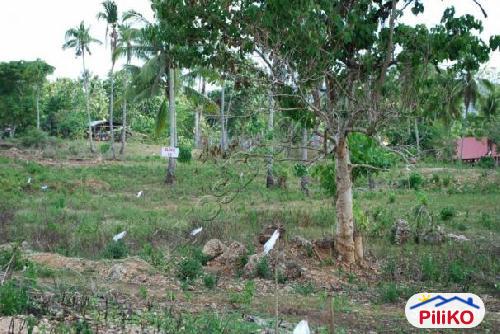 Residential Lot for sale in Island Garden City of Samal