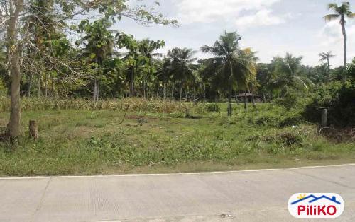 Resort Property for sale in Island Garden City of Samal - image 2