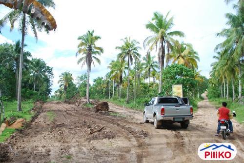 Residential Lot for sale in Island Garden City of Samal - image 2