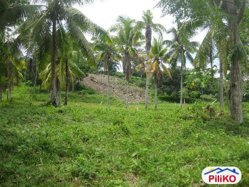 Residential Lot for sale in Island Garden City of Samal