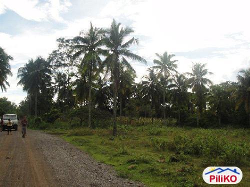 Residential Lot for sale in Island Garden City of Samal - image 2