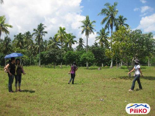 Residential Lot for sale in Island Garden City of Samal - image 2