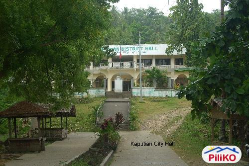 Residential Lot for sale in Island Garden City of Samal - image 2