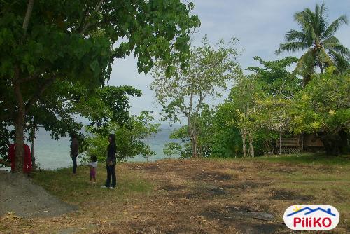 Residential Lot for sale in Island Garden City of Samal - image 2