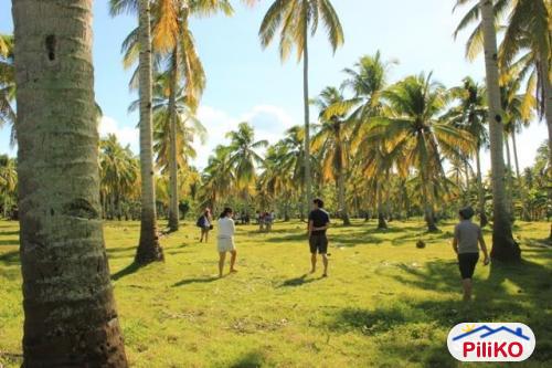 Residential Lot for sale in Island Garden City of Samal - image 2