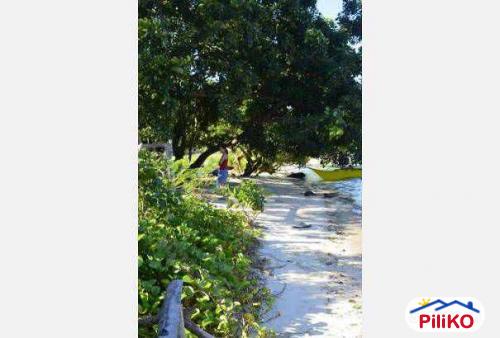 Commercial Lot for sale in Island Garden City of Samal - image 2