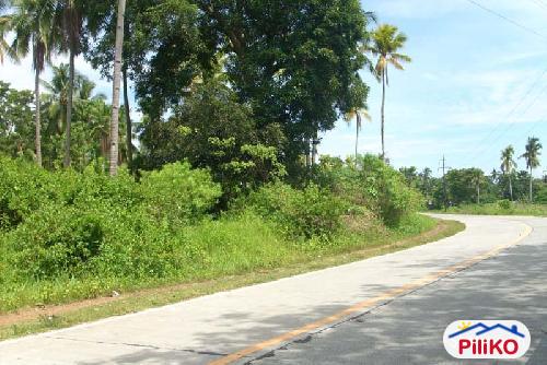Resort Property for sale in Island Garden City of Samal - image 3