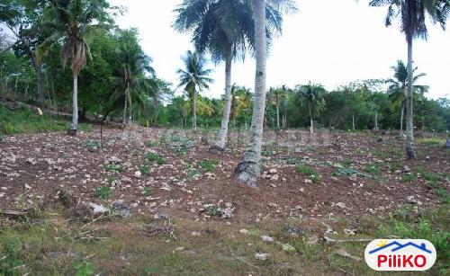Residential Lot for sale in Island Garden City of Samal - image 3