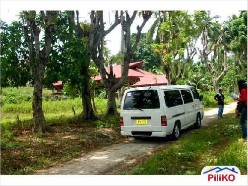 Residential Lot for sale in Island Garden City of Samal in Davao del Norte