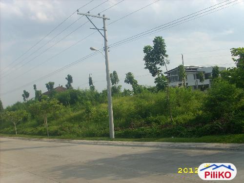 Residential Lot for sale in Island Garden City of Samal - image 3