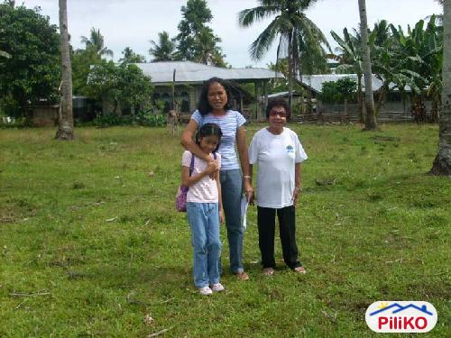 Residential Lot for sale in Island Garden City of Samal - image 3