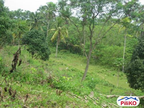 Residential Lot for sale in Island Garden City of Samal - image 3