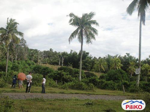 Residential Lot for sale in Island Garden City of Samal - image 3
