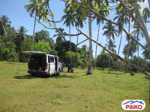 Residential Lot for sale in Island Garden City of Samal in Davao del Norte