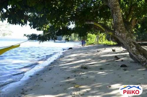 Commercial Lot for sale in Island Garden City of Samal - image 3