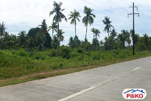 Residential Lot for sale in Island Garden City of Samal in Philippines