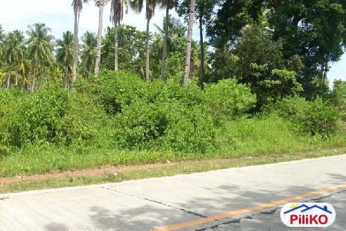 Resort Property for sale in Island Garden City of Samal in Philippines