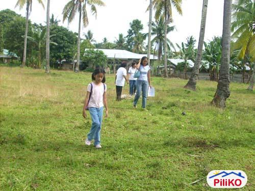 Residential Lot for sale in Island Garden City of Samal - image 4