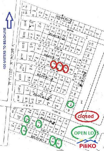 Other lots for sale in Island Garden City of Samal - image 4