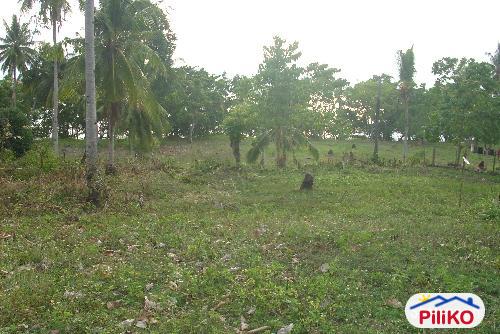Residential Lot for sale in Island Garden City of Samal - image 4