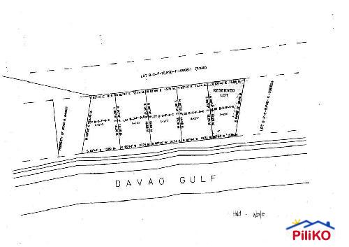 Residential Lot for sale in Island Garden City of Samal - image 4
