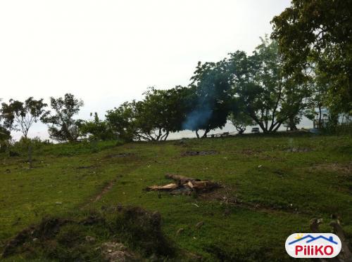 Commercial Lot for sale in Island Garden City of Samal - image 4