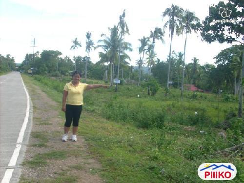 Picture of Residential Lot for sale in Island Garden City of Samal in Davao del Norte