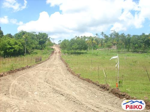 Picture of Residential Lot for sale in Island Garden City of Samal in Davao del Norte
