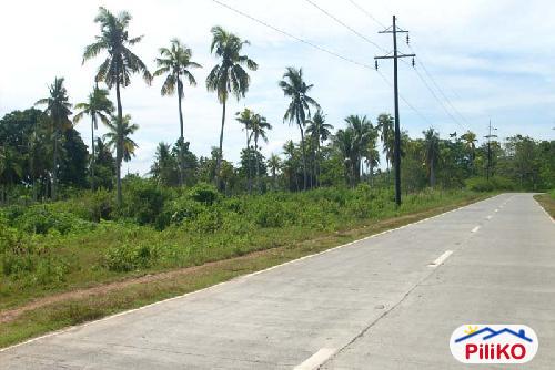 Residential Lot for sale in Island Garden City of Samal - image 5